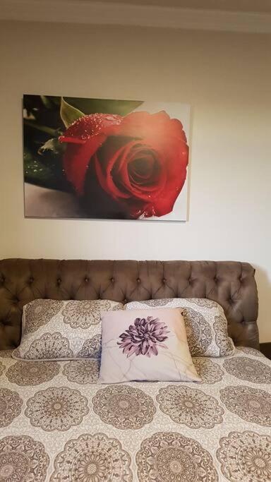 Apartment Com 3 Quartos! 7 Camas No Centro *